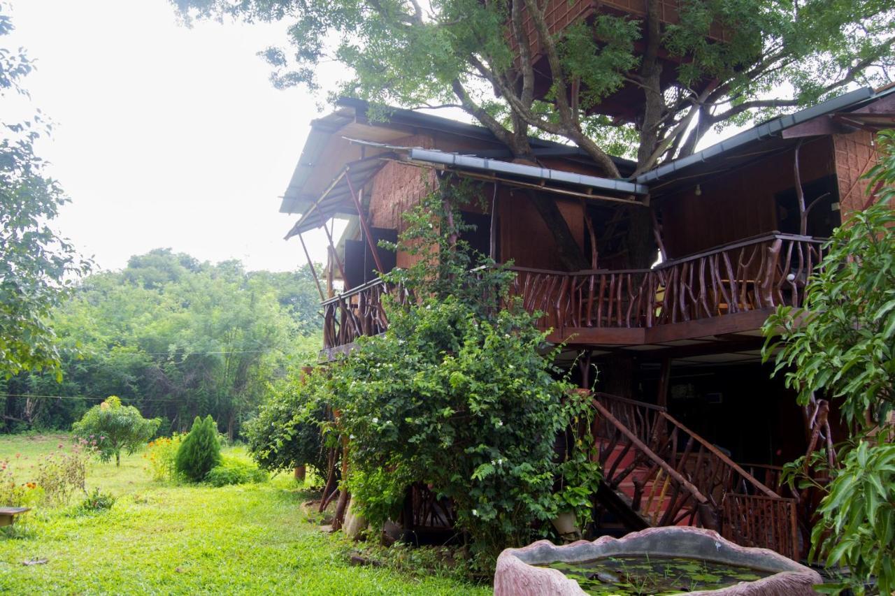 Anushka Nera Nature House Sigiriya Kamer foto