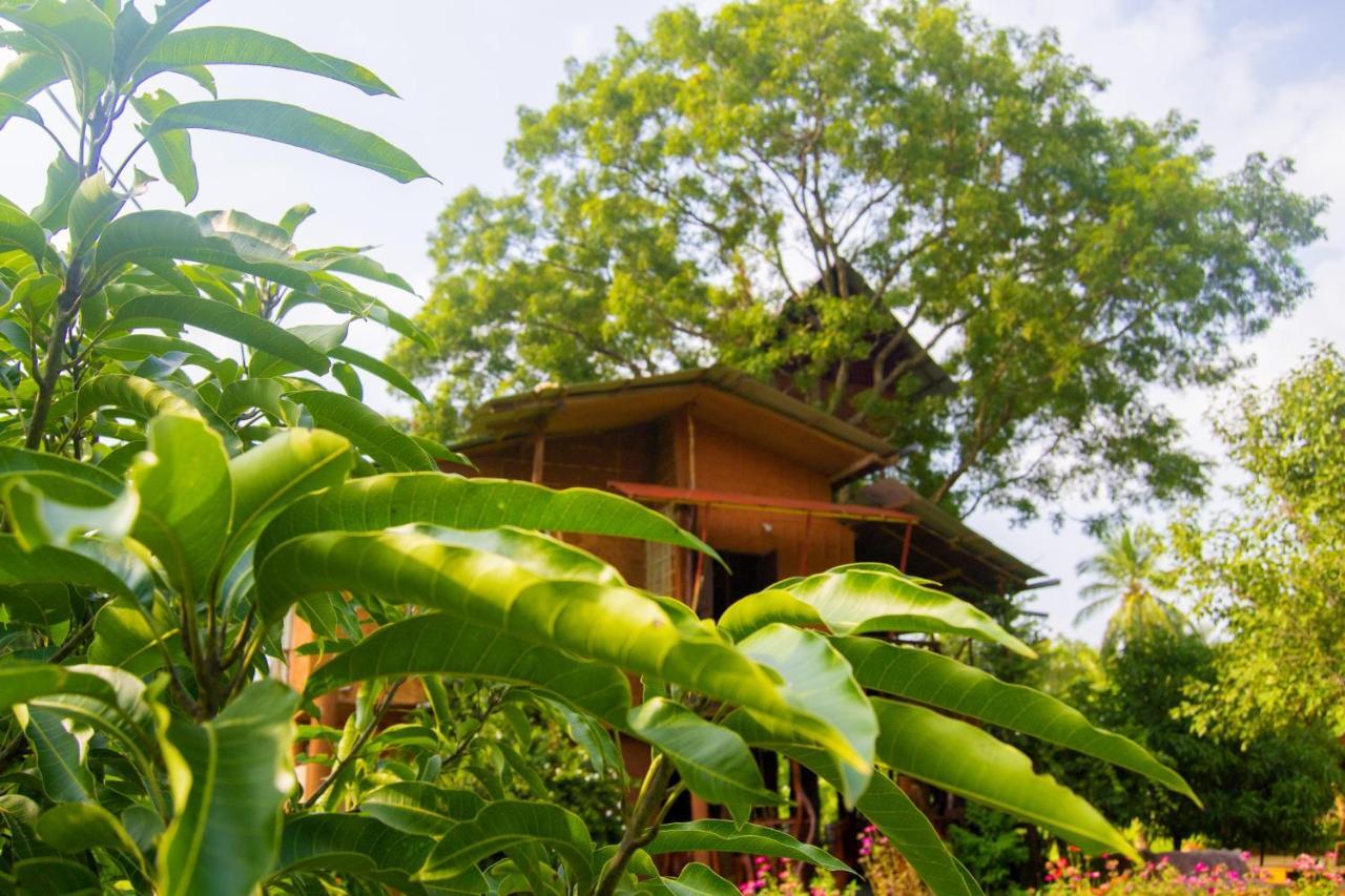 Anushka Nera Nature House Sigiriya Kamer foto