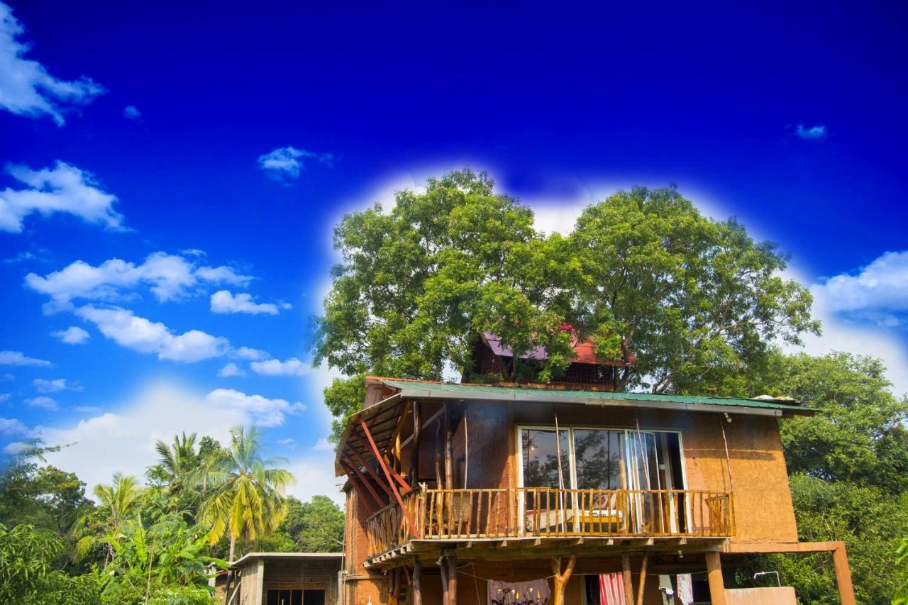 Anushka Nera Nature House Sigiriya Kamer foto