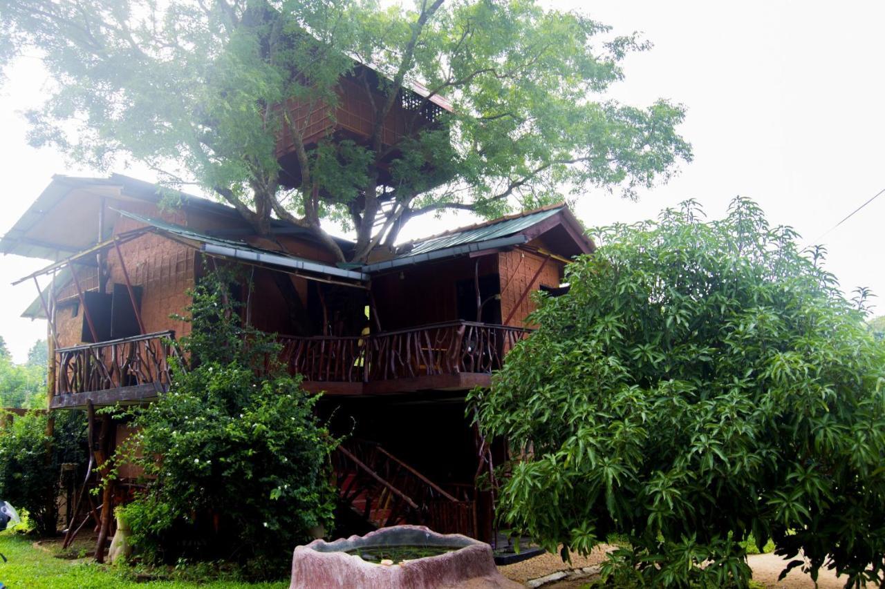 Anushka Nera Nature House Sigiriya Kamer foto